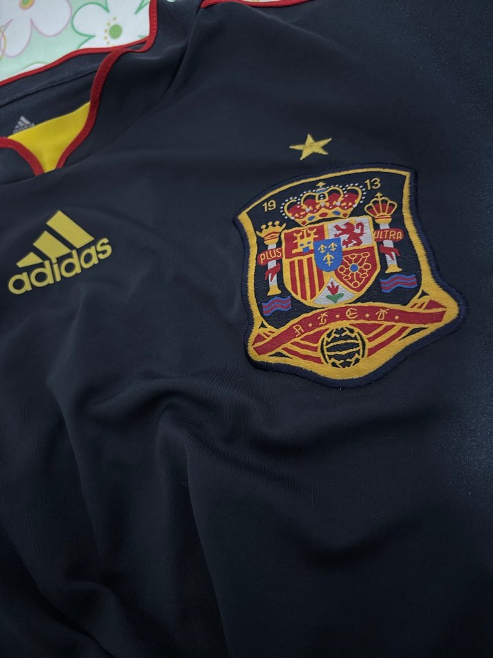 Torres İspanya Milli Takım - Görsel 5