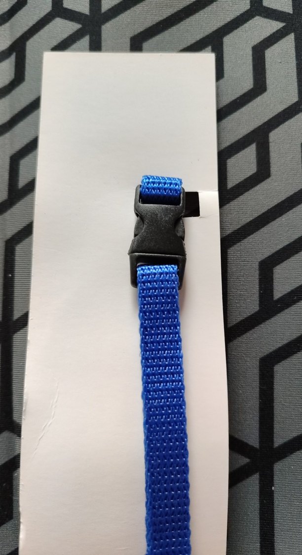 Mavi Puantiyeli Kedi Tasması Zilli - Görsel 3