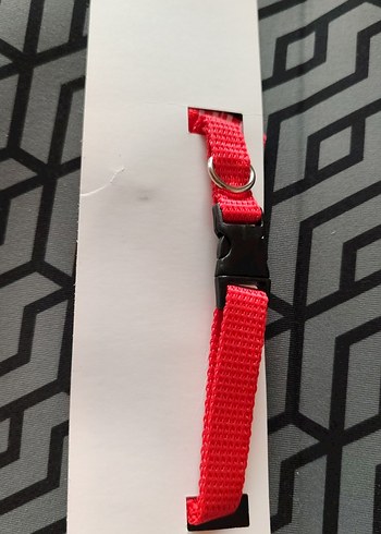 Kırmızı Çizgili Kedi Tasması - Görsel 3