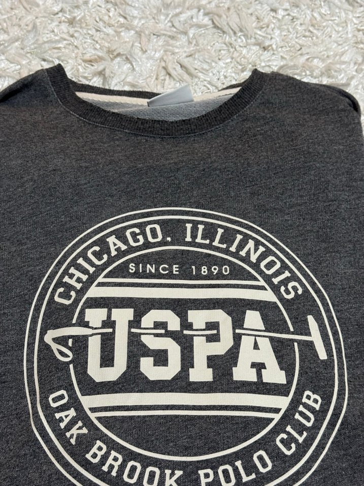 USPA Gri Erkek Sweatshirt - Görsel 5