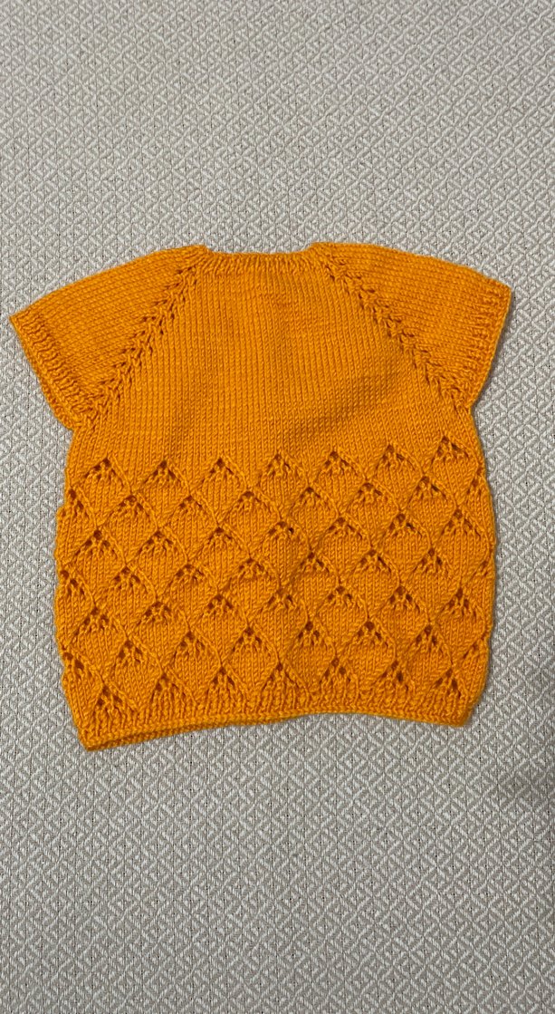 Kız,erkek Çocuk Sarı Örgü Kolsuz Hırka - Görsel 2