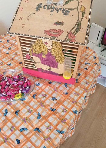 muhabbet kuş kafesi özel yapım - Görsel 2