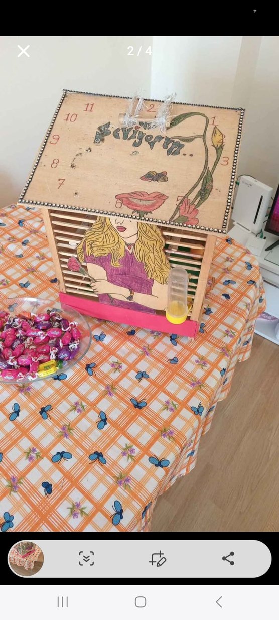 muhabbet kuş kafesi özel yapım - Görsel 2