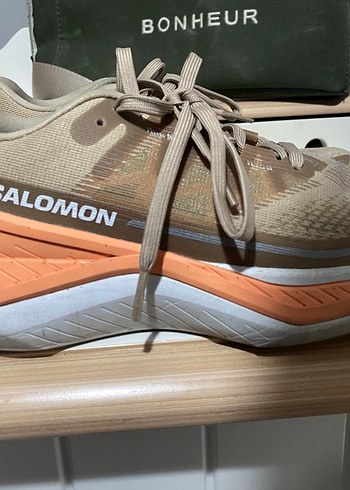 Salomon 38