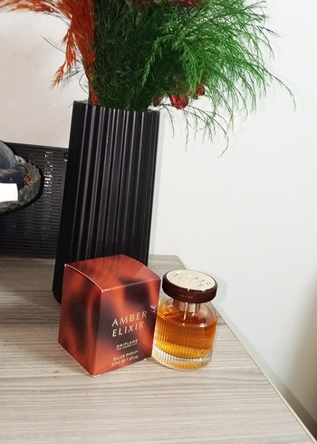 Kadın Parfüm Seti: Olympea ve Amber Elixir - Görsel 2