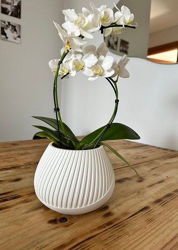 Yeşil Modern Tasarımlı Vazo - Görsel 3