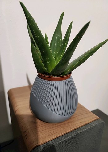 Yeşil Modern Tasarımlı Vazo - Görsel 4