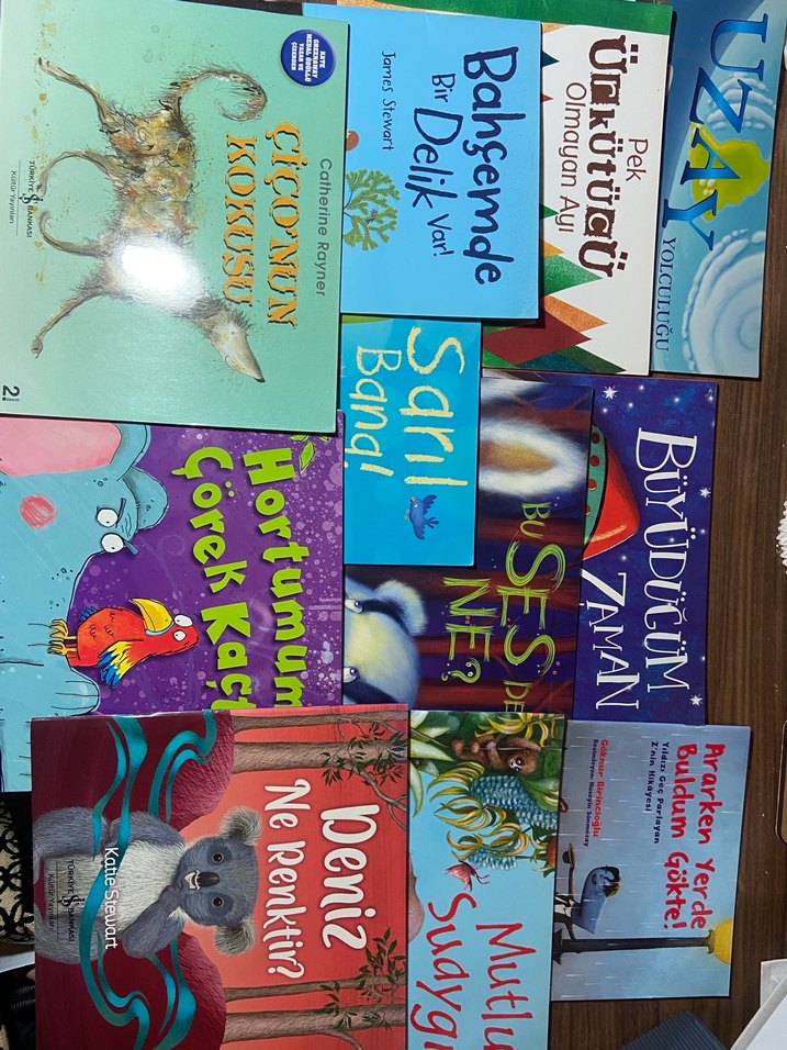 Gelişim ve Eğitim Kitapları Koleksiyonu - Görsel 4