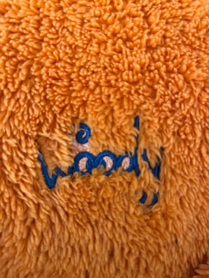 Nakışlı Mavi Ve Turuncu 2li Çocuk Sabahlık 10 Yaş - Görsel 5