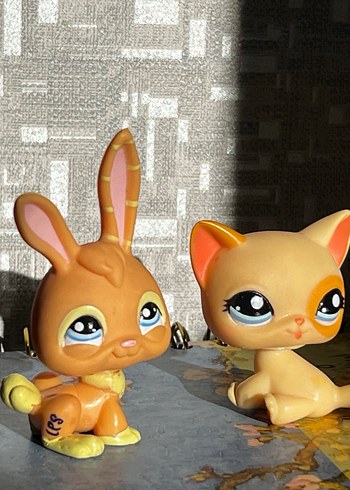 Lps orjinal - Görsel 2