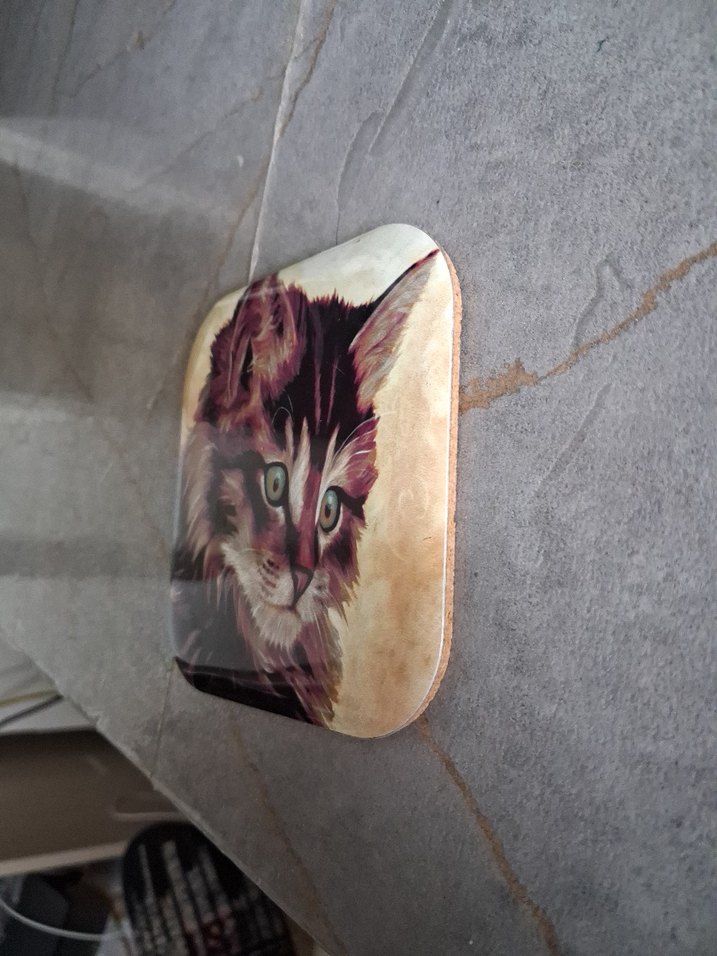 Kedi Desenli Bardak Altlığı veya duvar süsü - Görsel 3