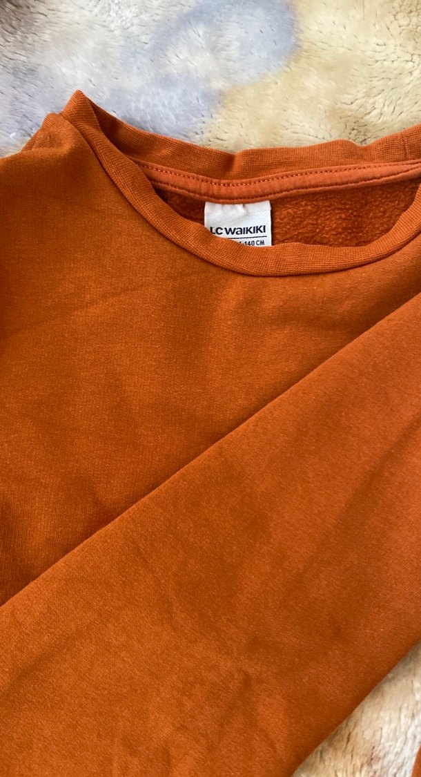 Turuncu Erkek Çocuk Sweatshirt - Görsel 2