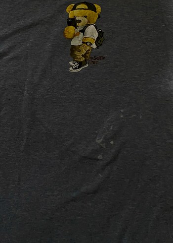 Gri Baskılı Erkek Kısa Kollu Tişört - Görsel 2