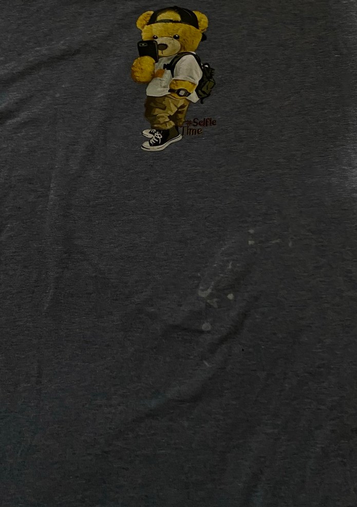 Gri Baskılı Erkek Kısa Kollu Tişört - Görsel 2