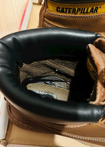 Cat tarçın bot - Görsel 4