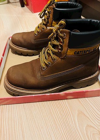 Cat tarçın bot - Görsel 6