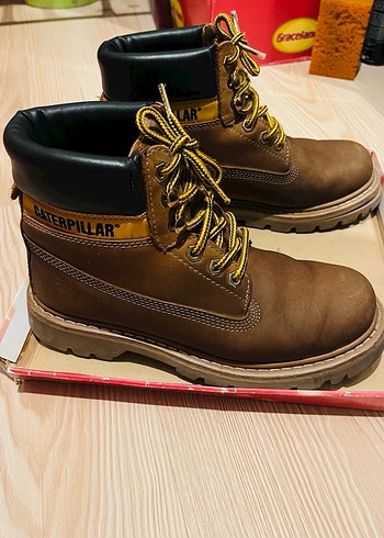 Cat tarçın bot - Görsel 3