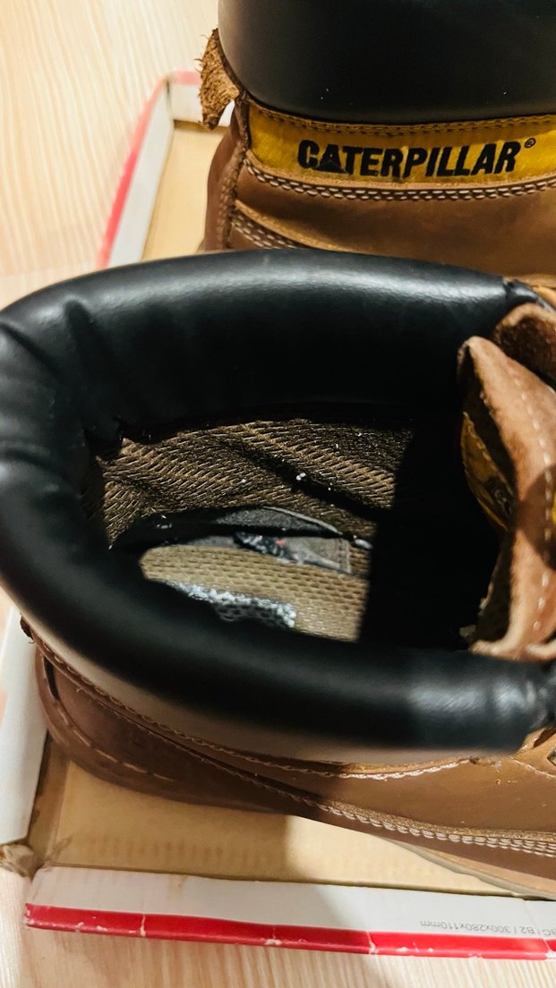 Cat tarçın bot - Görsel 4