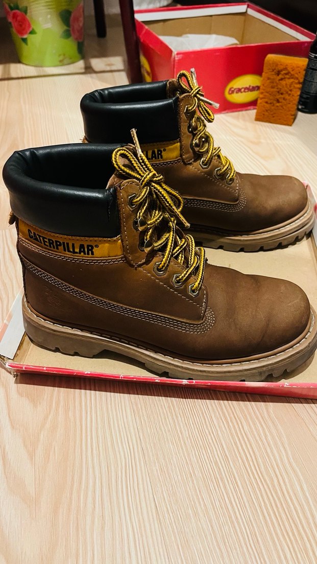 Cat tarçın bot - Görsel 3