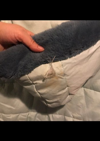 Kız Çocuk Pastel Renk Kapüşonlu Mont - Görsel 6