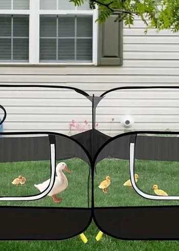 Tavuk Civciv tavşan kümesi kafesi Oyun ve Yatak Alanı - Görsel 3