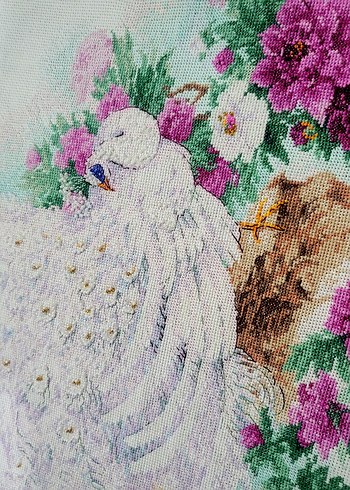 Beyaz Tavus Kuşu ve Çiçek Desenli Nakış - Görsel 2