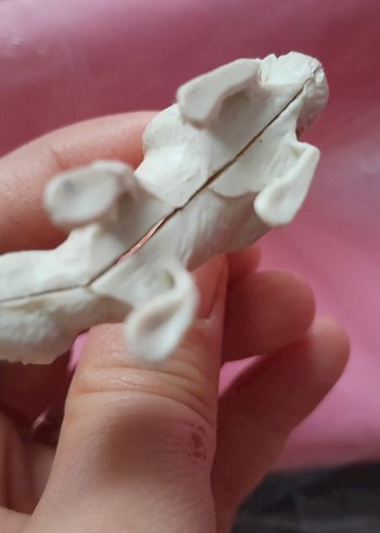 simvap figürü - Görsel 3