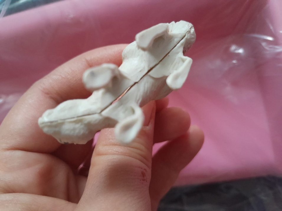 simvap figürü - Görsel 3