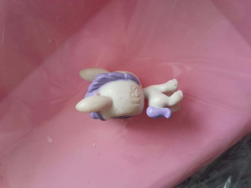 Lps minişler at - Görsel 2