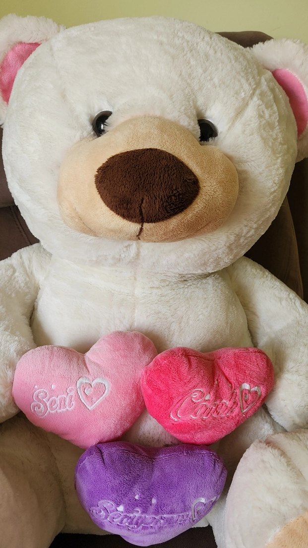 Beyaz Peluş Ayı Oyuncak Kalpli Seni Çok Seviyorum - Görsel 2