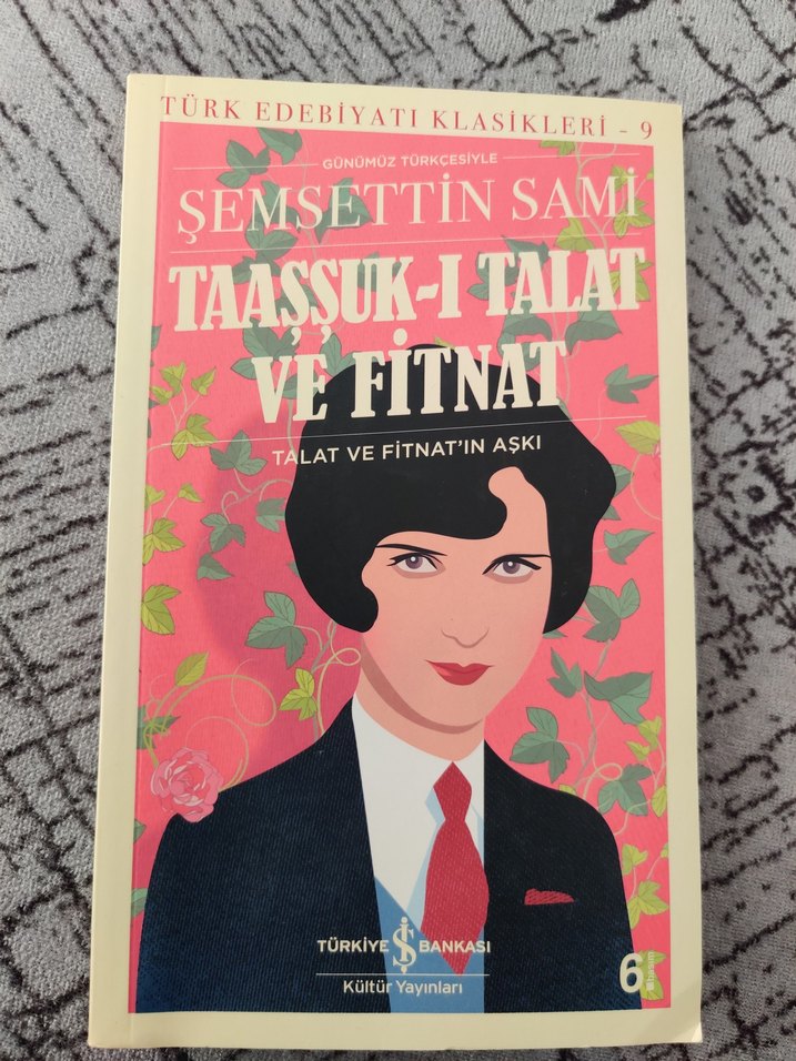 Türk Edebiyatı Klasikleri Roman Seti - Görsel 4