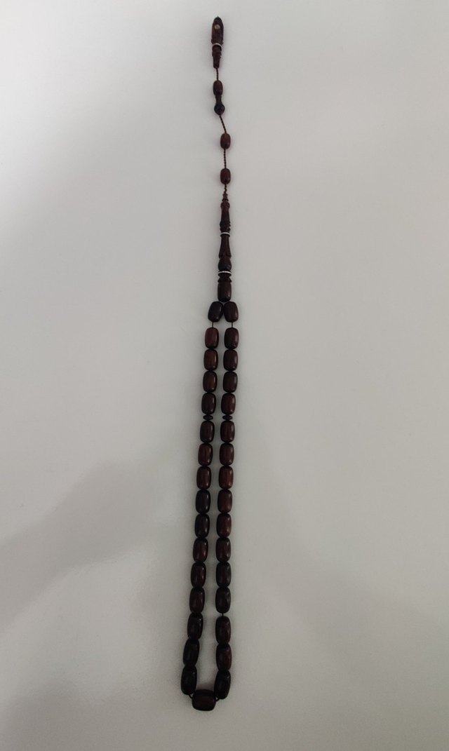 Mücahit Şener Usta İmzalı Gümüş Sarmallı Yılan Ağacı - Görsel 4