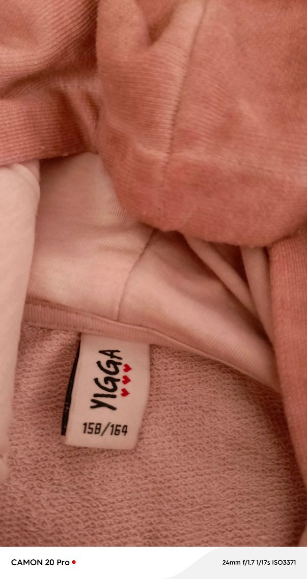 Baskılı Pembe Kapüşonlu Sweatshirt - Görsel 5