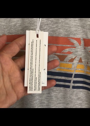 Erkek Gri Kısa Kollu Baskılı Tişört - Görsel 3