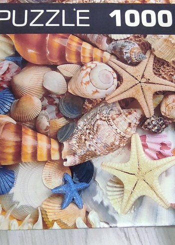 Renkli Deniz Kabuğu Temalı Puzzle (1000 parça) - Görsel 2