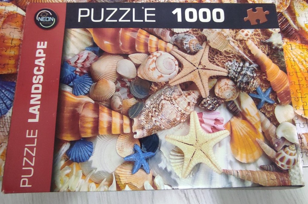 Renkli Deniz Kabuğu Temalı Puzzle (1000 parça) - Görsel 2