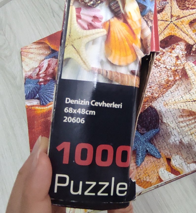 Renkli Deniz Kabuğu Temalı Puzzle (1000 parça) - Görsel 3