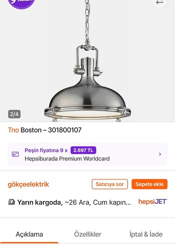 Trio Boston Gri Metal Sarkıt Lamba - Görsel 2