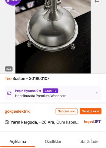 Trio Boston Gri Metal Sarkıt Lamba - Görsel 3