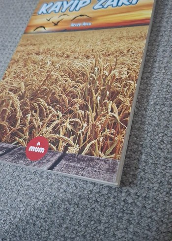 Kayıp Zarf - Recep Avcu - Görsel 2