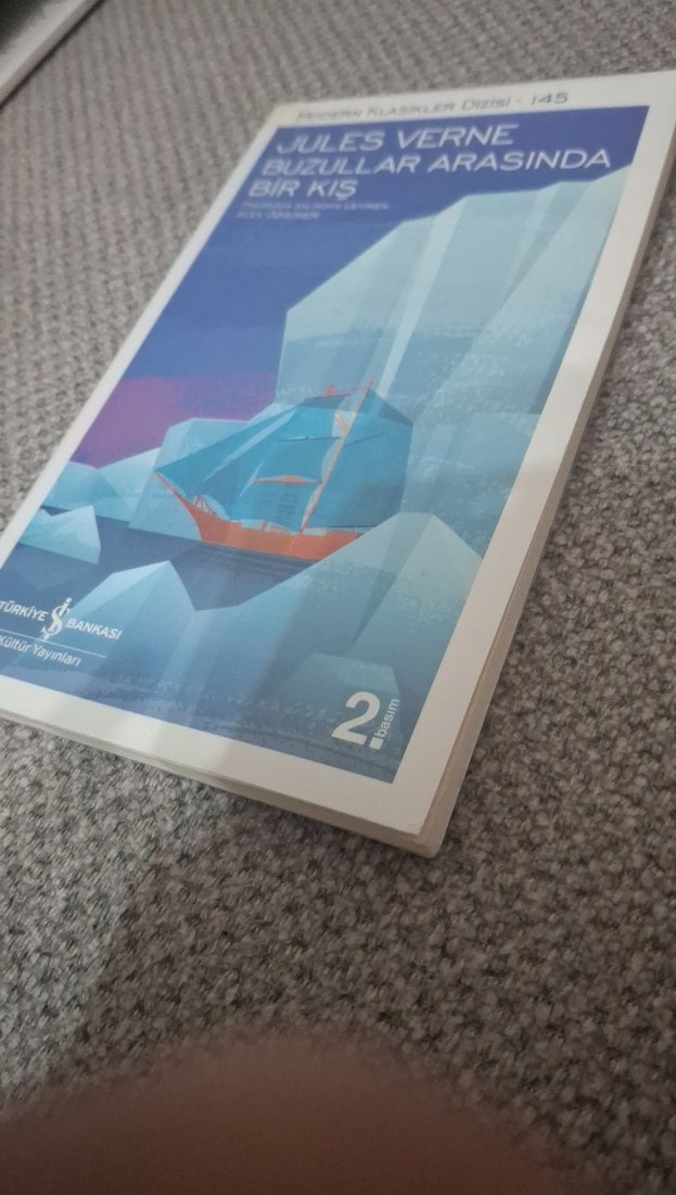 Buzullar Arasında Bir Kış - Jules Verne - Görsel 2