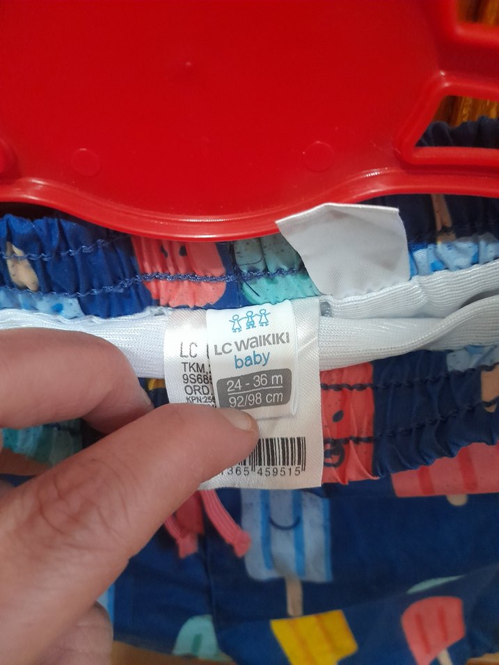 Erkek Çocuk Renkli Dondurma Desenli Mayo Şort - Görsel 4