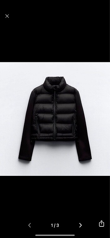 zara mont