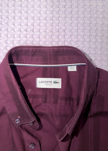 Lacoste orijinal gömlek - Görsel 3