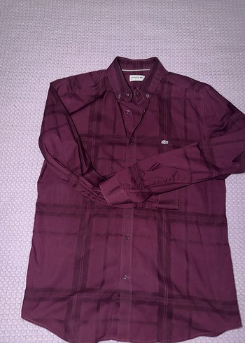 Lacoste orijinal gömlek - Görsel 2
