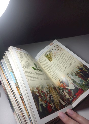 Dünya Tarihi - DK Eyewitness Companion - Görsel 3