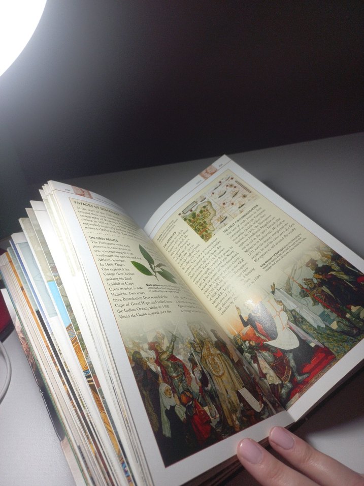 Dünya Tarihi - DK Eyewitness Companion - Görsel 3