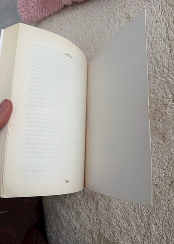 Vadideki Zambak - Balzac - Görsel 3