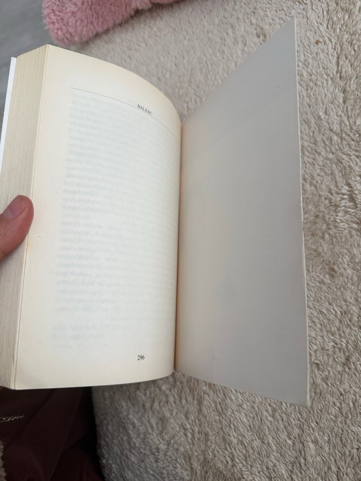 Vadideki Zambak - Balzac - Görsel 3