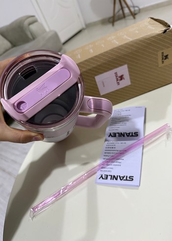 Stanley Pembe Pastel Termos - Görsel 4